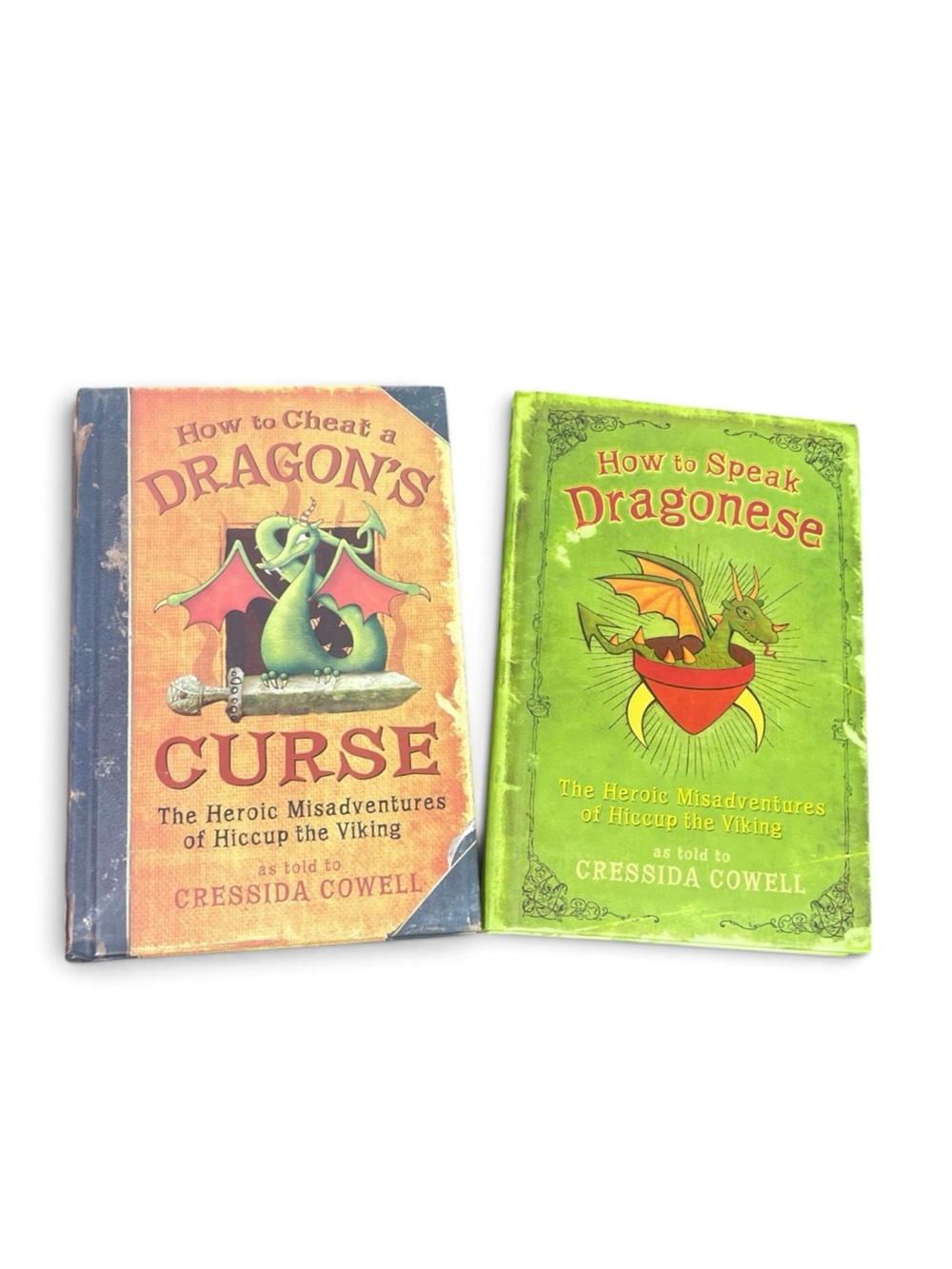 DRAGONS!!!!  How to Cheat a Dragon's Curse & How to Speak Dragonese